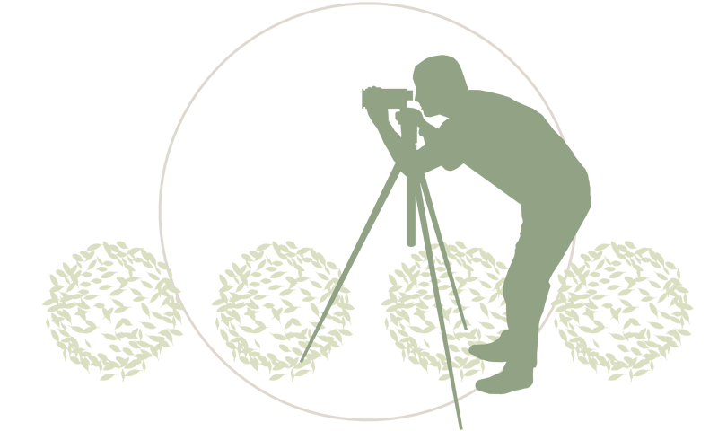 Illustration Gartenarchitektur